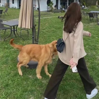 护花特警