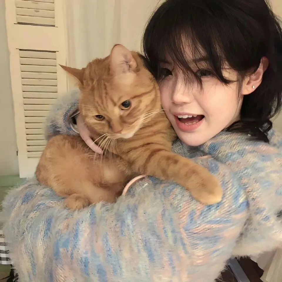 峡谷重案组第四季